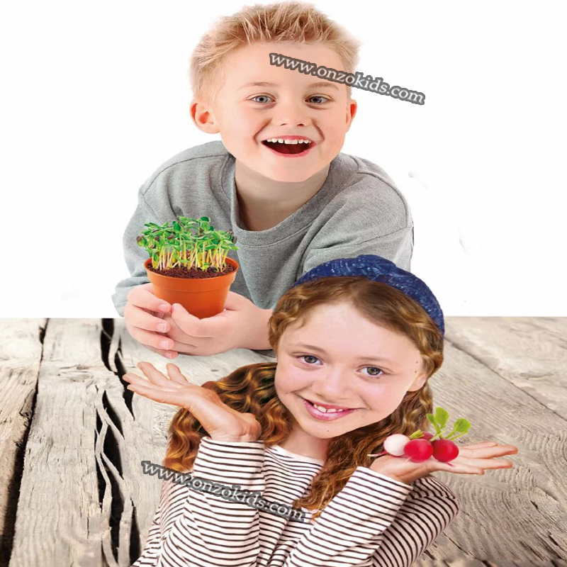 Jouet Ma première serre-clementoni – Image 3