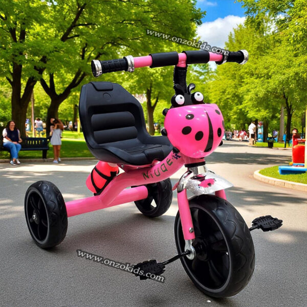 Tricycle bébé coccinelle avec gourde – Image 4