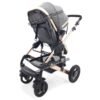 Poussette Landeau 2 en 1- Bora – Image 12