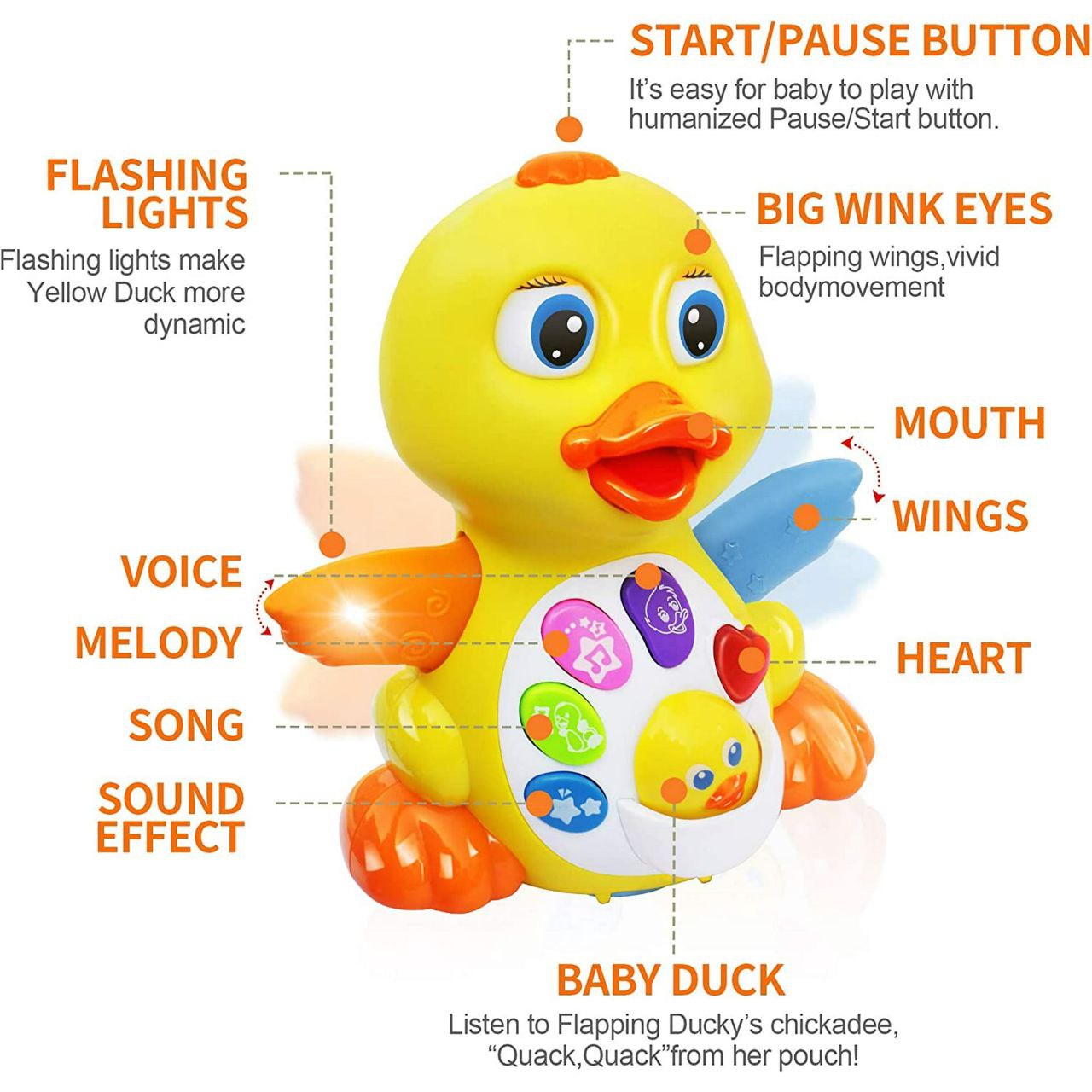 Canard Interactif Pour Enfants Hola – Image 4