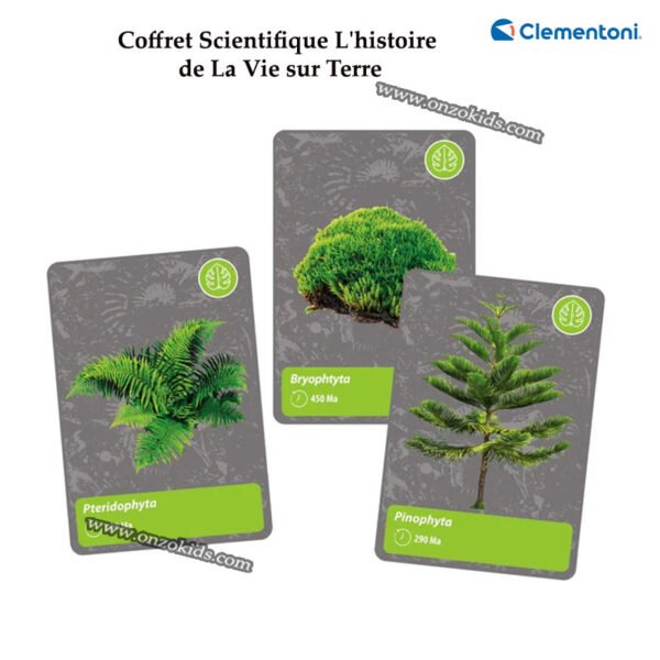 Coffret Scientifique L'histoire de La Vie sur Terre - Clementoni – Image 5