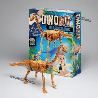 Dino Kit  Ensemble d'excavation - Buki