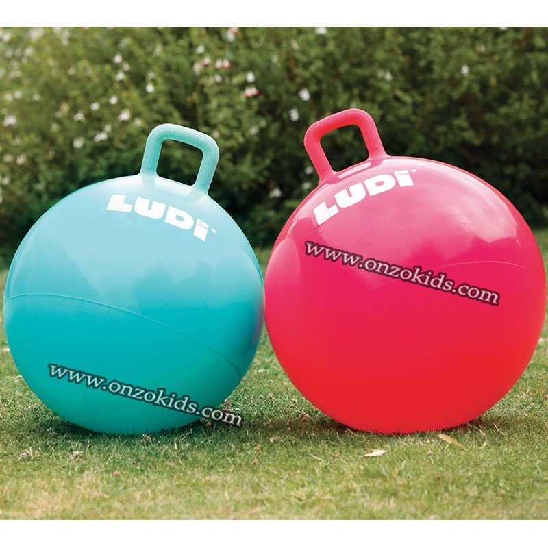 Ballon sauteur resist 55 cm gym enfant bleu -LUDI