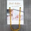 Collier d'ambre pour adulte