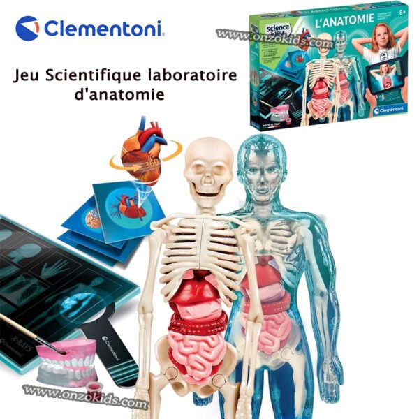 Jeu Scientifique laboratoire d'anatomie  - Clementoni