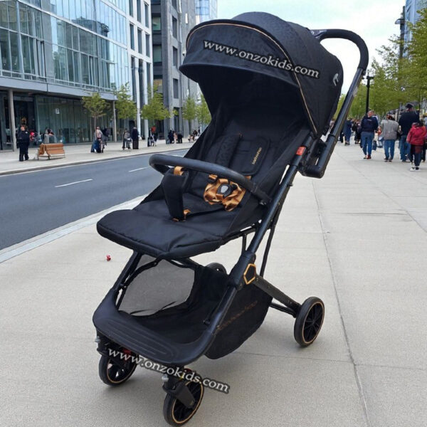 Poussette compacte réversible avec bras ajustable pour voyage-BaoBaohao – Image 4