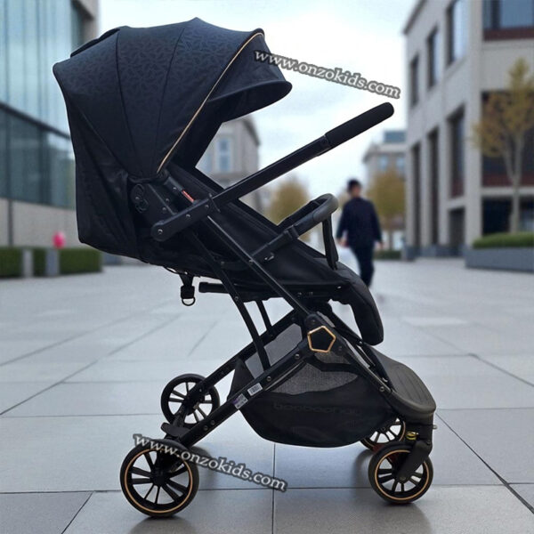 Poussette compacte réversible avec bras ajustable pour voyage-BaoBaohao – Image 2
