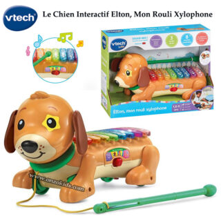 Le Chien Interactif Elton, Mon Rouli Xylophone - Vtech