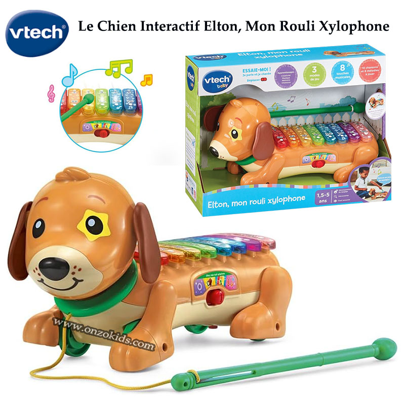 Le Chien Interactif Elton, Mon Rouli Xylophone - Vtech